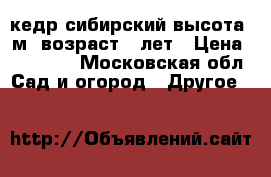 кедр сибирский высота 2м  возраст 9 лет › Цена ­ 10 000 - Московская обл. Сад и огород » Другое   